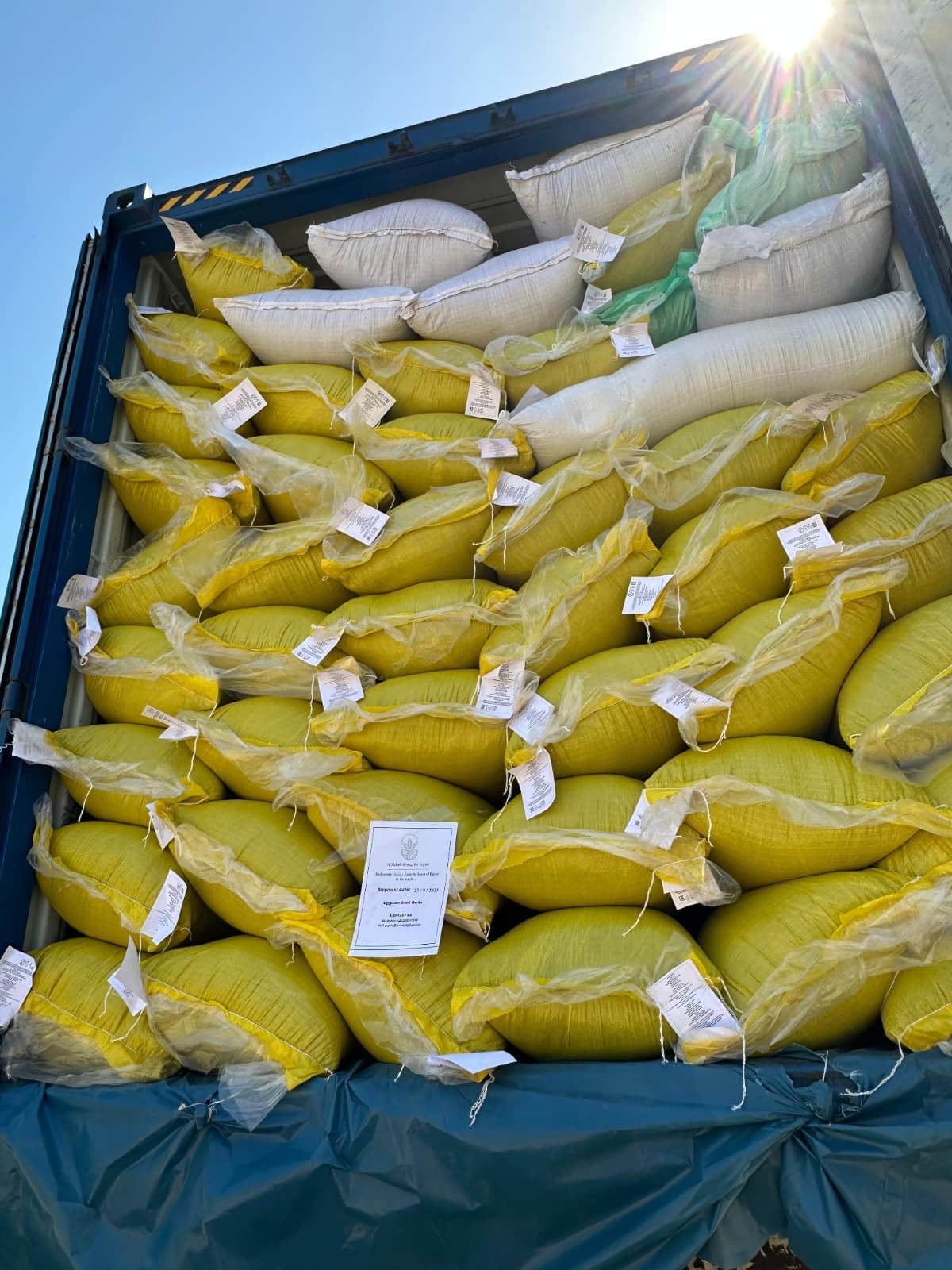 Carefully organized shipment with proper documentation